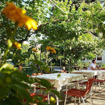 Weingut Pension Sommerhof Mörbisch am See Exteriér fotografie