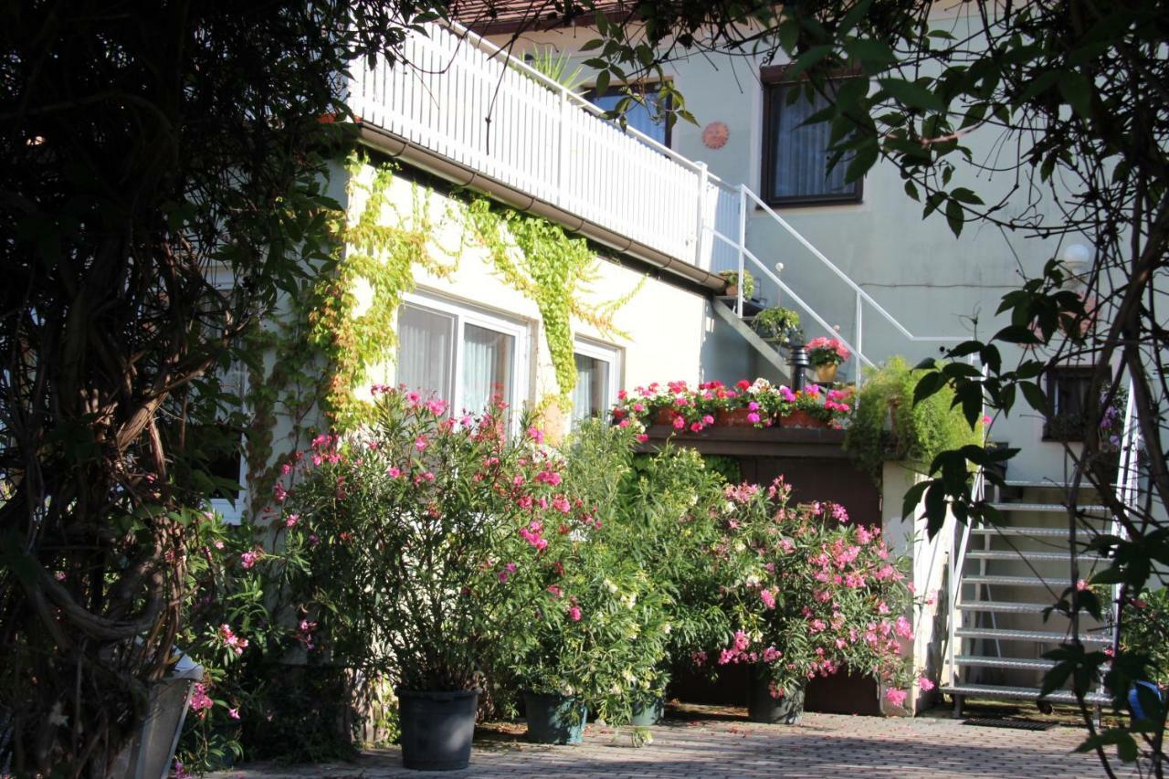 Weingut Pension Sommerhof Mörbisch am See Exteriér fotografie
