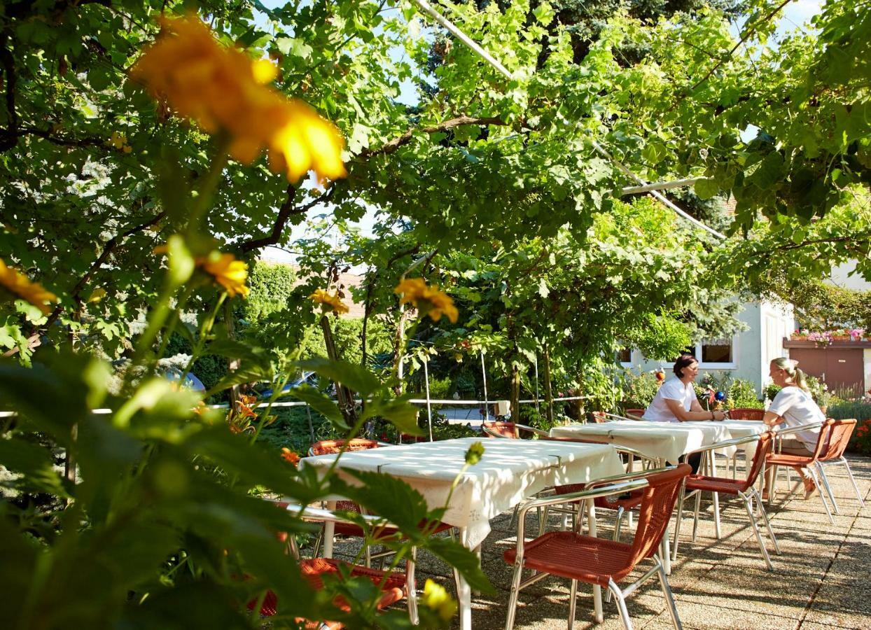 Weingut Pension Sommerhof Mörbisch am See Exteriér fotografie